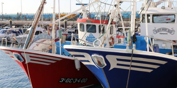 Barcos de pesca en puerto canario | CONSEJERÍA DE AGRICULTURA, GANADERÍA Y PESCA DEL GOBIERNO DE CANARIAS