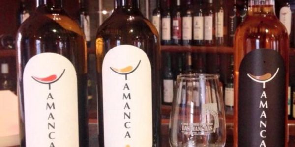 Vinos de las bodegas Tamanca