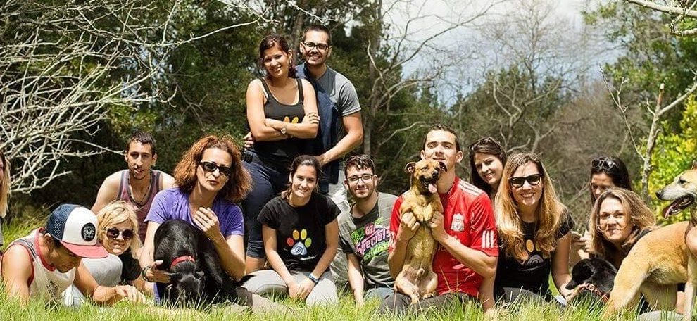 Miembros de la federación canaria de asociaciones de protectoras de animales y plantas