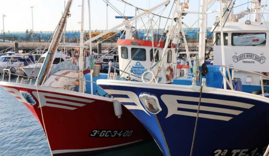 Barcos de pesca canarios | Foto: Gobierno de Canarias