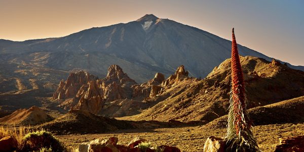 Parque Nacional del Teide | Foto: Cabildo de Tenerife