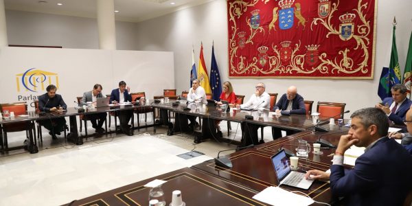 Comisión sobre el reto demográfico del Parlamento de Canarias | Foto: Parcan