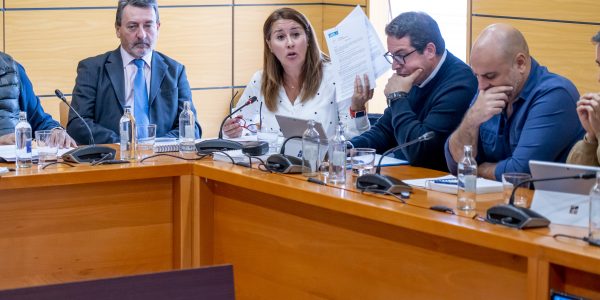 Lola García (centro.) durante un pleno del Cabildo de Fuerteventura