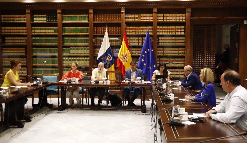 Comisión de estudio sobre el reto demográfico | Foto: Parlamento de Canarias