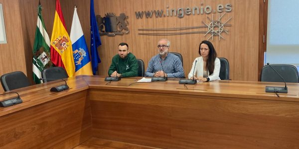 Pleno del Ayuntamiento de Ingenio | Foto: Ayuntamiento de Ingenio