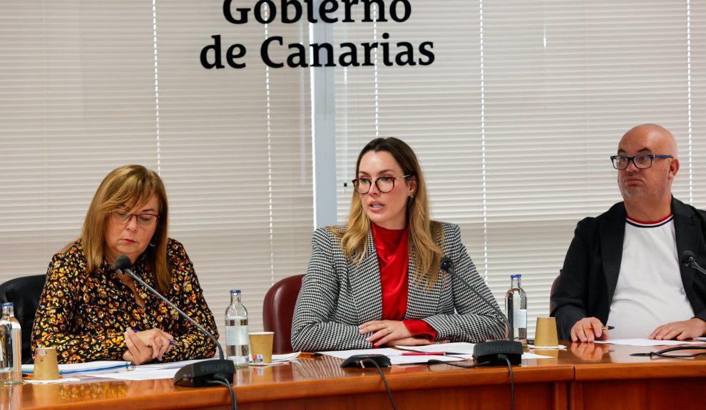 María Fernández (centro) en una reunión de la mesa del transporte | Foto: Gobierno de Canarias