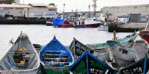 Pateras acumuladas en el Muelle de Arguineguín | Foto: Ayuntamiento de Mogán