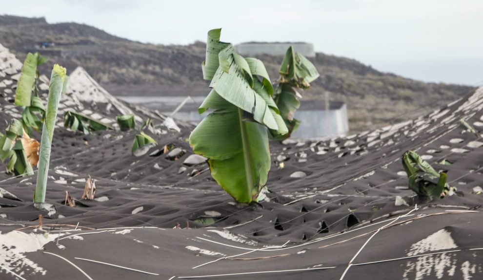 Efectos del volcán de La Palma | Foto: Gobierno de Canarias