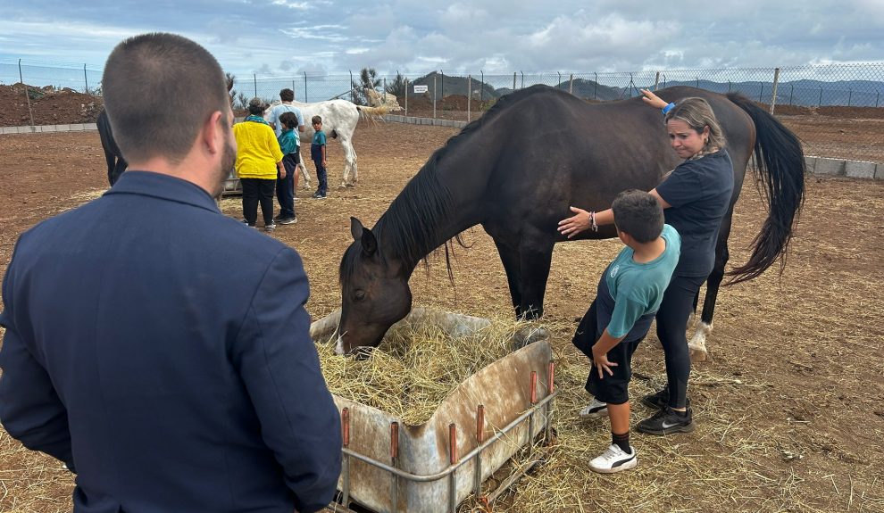 Equinosentido | Foto: Ayuntamiento de La Laguna