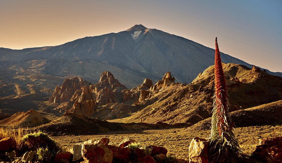 Parque Nacional del Teide | Foto: Cabildo de Tenerife